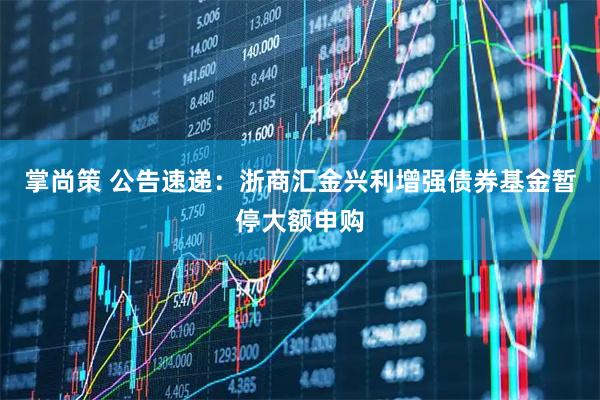 掌尚策 公告速递：浙商汇金兴利增强债券基金暂停大额申购