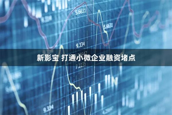 新影宝 打通小微企业融资堵点