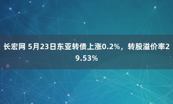 长宏网 5月23日东亚转债上涨0.2%，转股溢价率29.53%